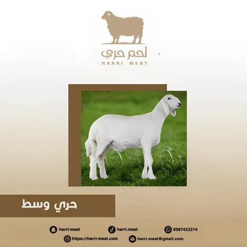 حري 6 شهور