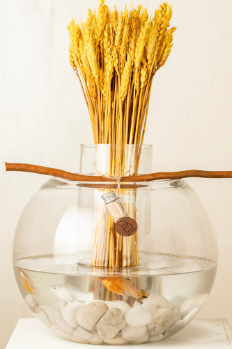 Little fish - فازة ورد مع سمك