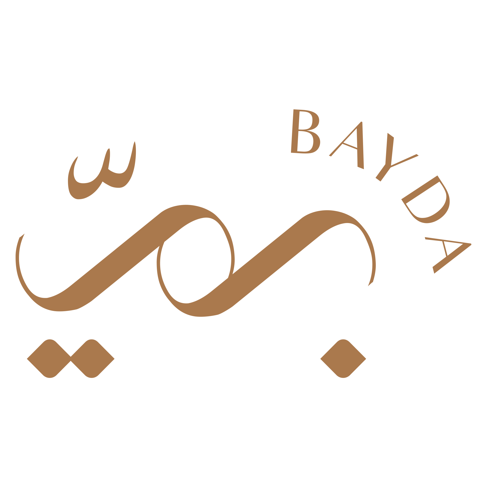 store avatar