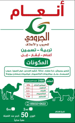 In'am Al-Jaroudi Cube
