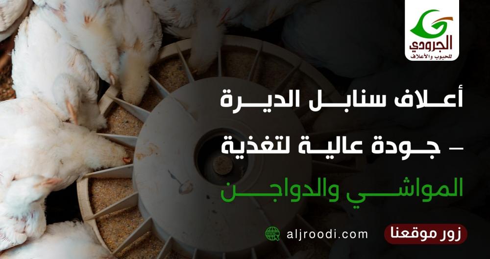 أعلاف سنابل الديرة – جودة عالية لتغذية المواشي والدواجن