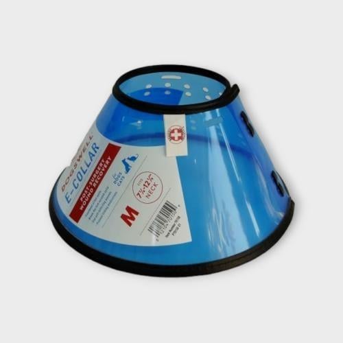 Collar for cat treats