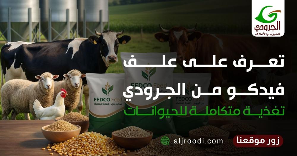 تعرف على علف فيدكو من الجرودي: تغذية متكاملة للحيوانات