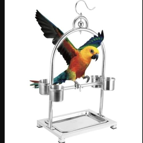 استاند من الاستل ستيل بشكل عصري وجذاب يساعد الطير على كسر الحاجز بينه وبين البشر وسرعة التعلم ويعطي الطائر اجواء مناسبة اكثر  مع وحدات تغذية