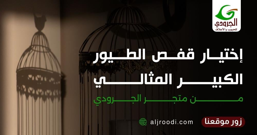 اختيار قفص الطيور الكبير المثالي من متجر الجرودي