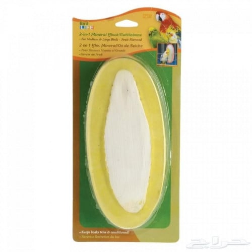 Marine bones ng mga ibon (pusit)