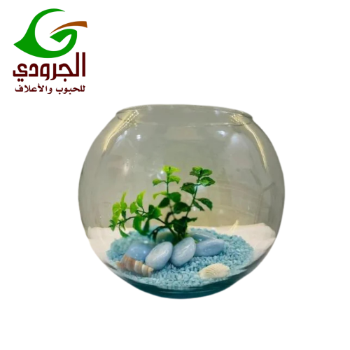 حوض أسماك زجاجي حجم M – حوض زينة عملي وعصري