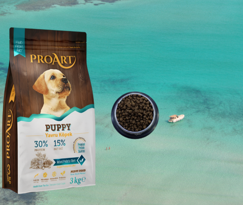 بروأرت طعام جراء بالدجاج والأرز