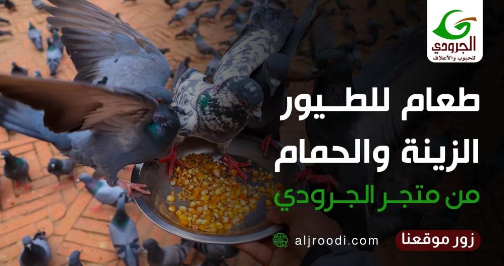 طعام للطيور الزينة والحمام من متجر الجرودي