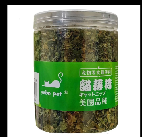 يابي كاتنيب للقطط حجم كبير