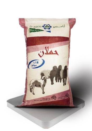 اراسكو  علف حملان  بروتين 18%