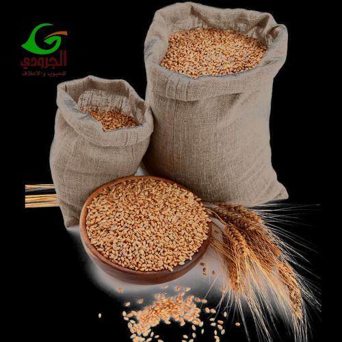 wheat agricultural land