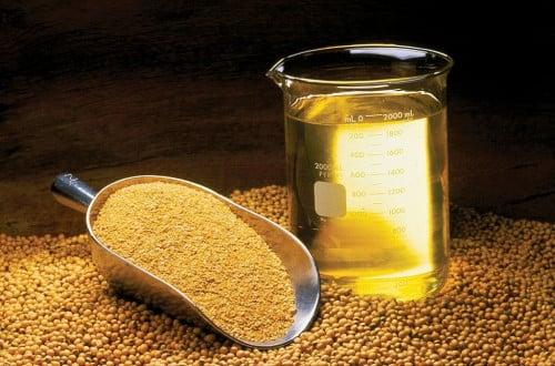 soybean seeds