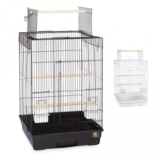 Black and white parrot cage