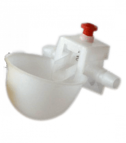 پرندوں، کبوتر اور مرغیوں کے ساتھ ایک بار