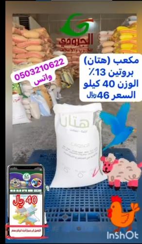 مكعب هتان  تربيه بروتين 13%