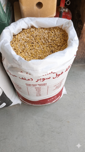 دقة فول سوبر سنام