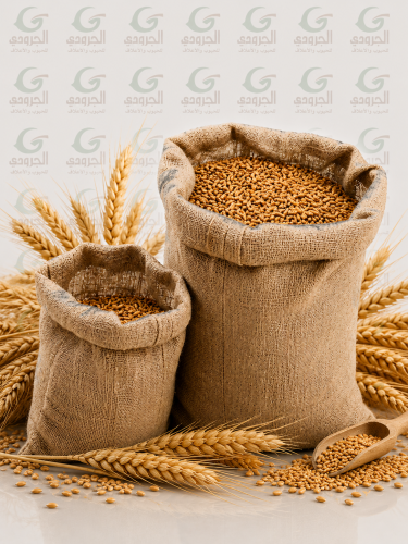 بر زراعي قمح