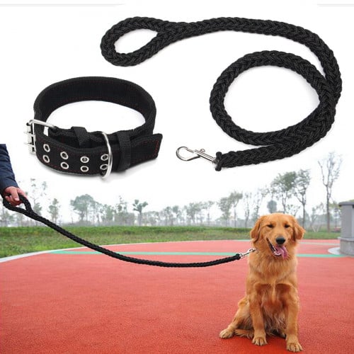 Dog harness