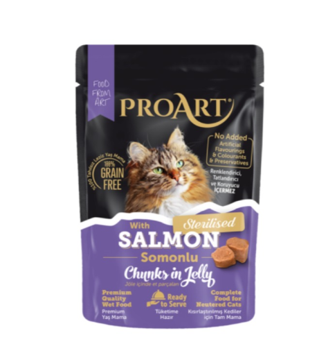 بروأرت قطع سلمون في الجلي للقطط المعقمة 85 ج  كرتون 24 حبه