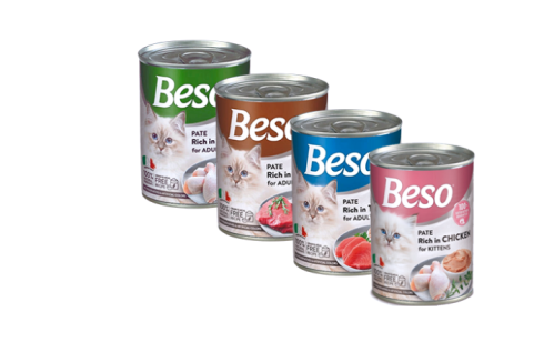Carton of canned Biso with multiple flavours