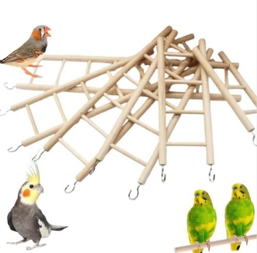 Wooden Parrot at Ornamental Bird Ladders - 6 na Antas
