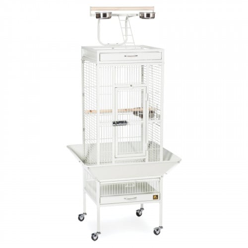 قفص ببغاء الوان صغير