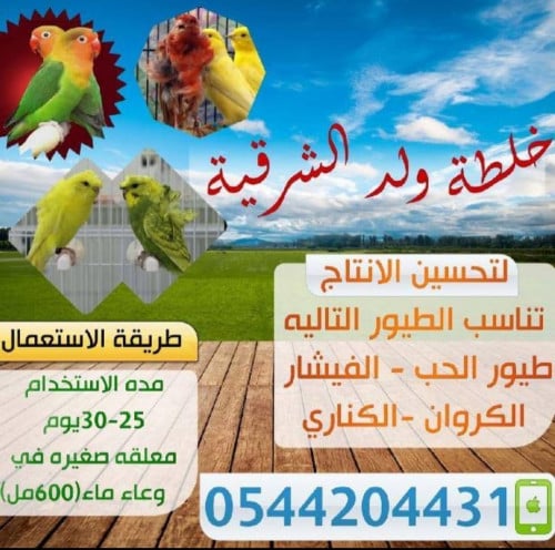 ولاد الشرقیہ مکس نمبر 3