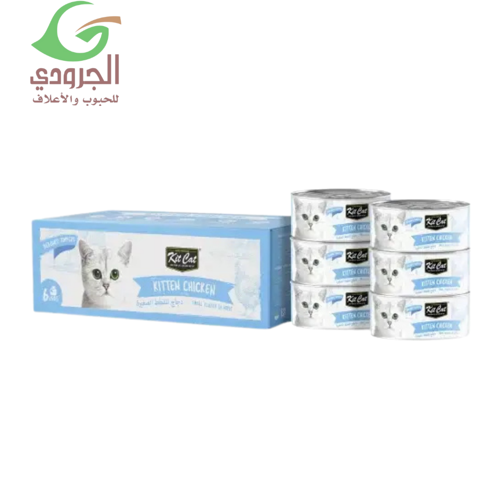 كت كات دجاج طعام رطب للقطط الصغيرة 6×50غ