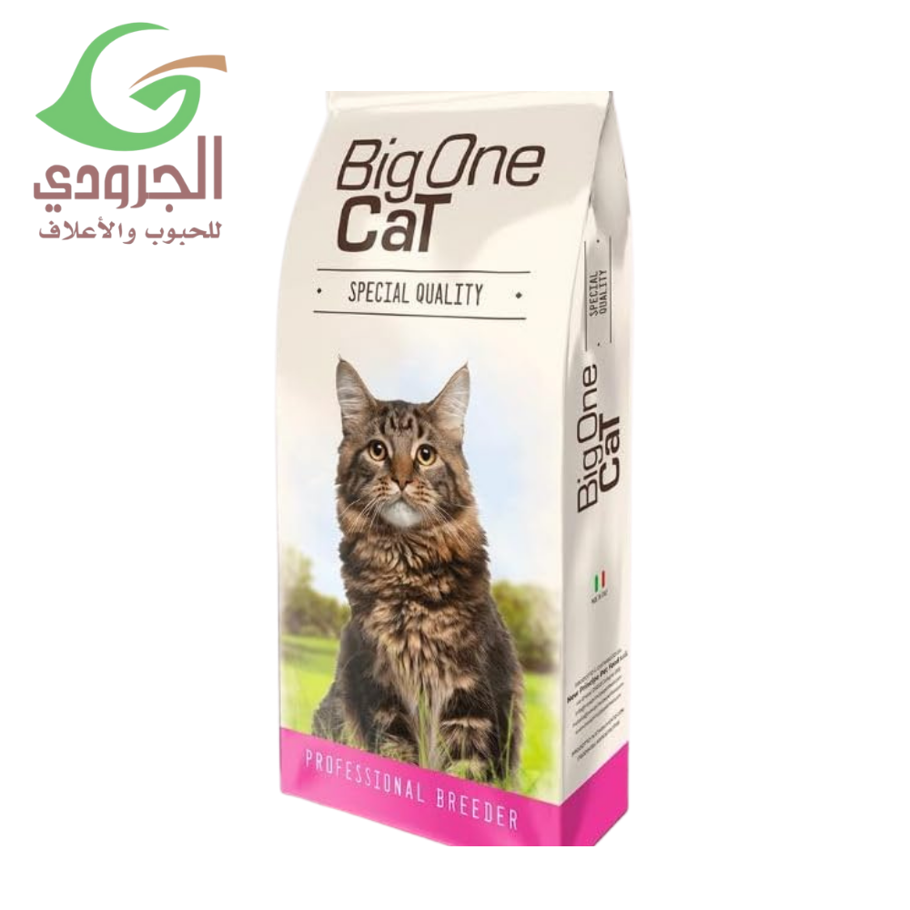 بيج ون طعام جاف للقطط البالغة بنكهة الدجاج 18 كجم