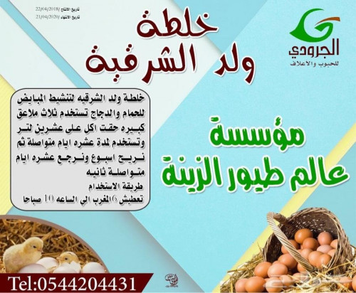 Eastern Boy Mixture No. 2