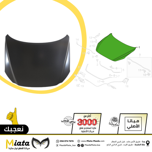 كبوت مازدا 6