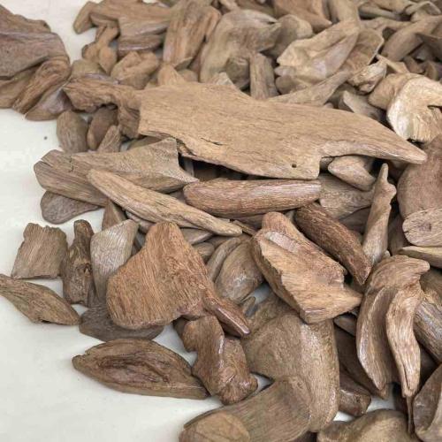 عود موروكي كينام واصقون
