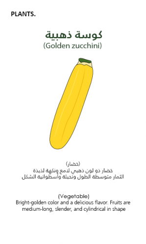 كوسة