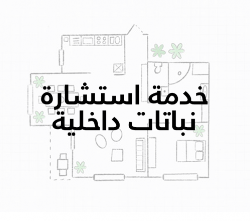 خدمة استشارة نباتات داخلية