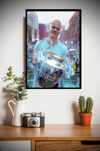 هالاند - haaland