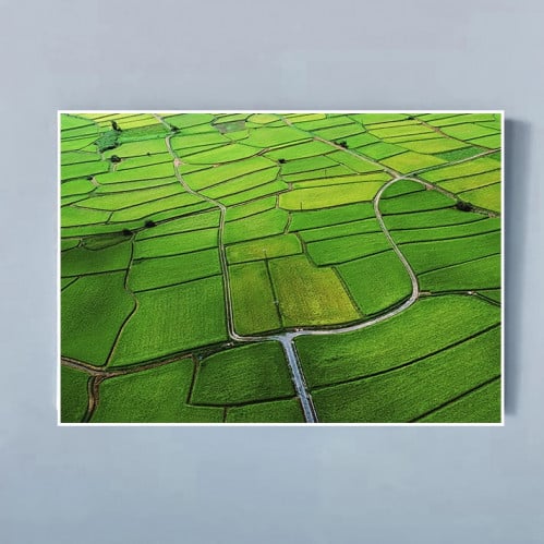 لوحات فنية جدارية المناظر الطبيعية  مناطق زراعية