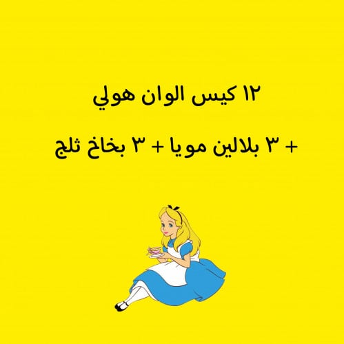 مجموعة هولي