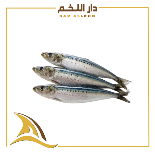 ساردين (1 كجم)
