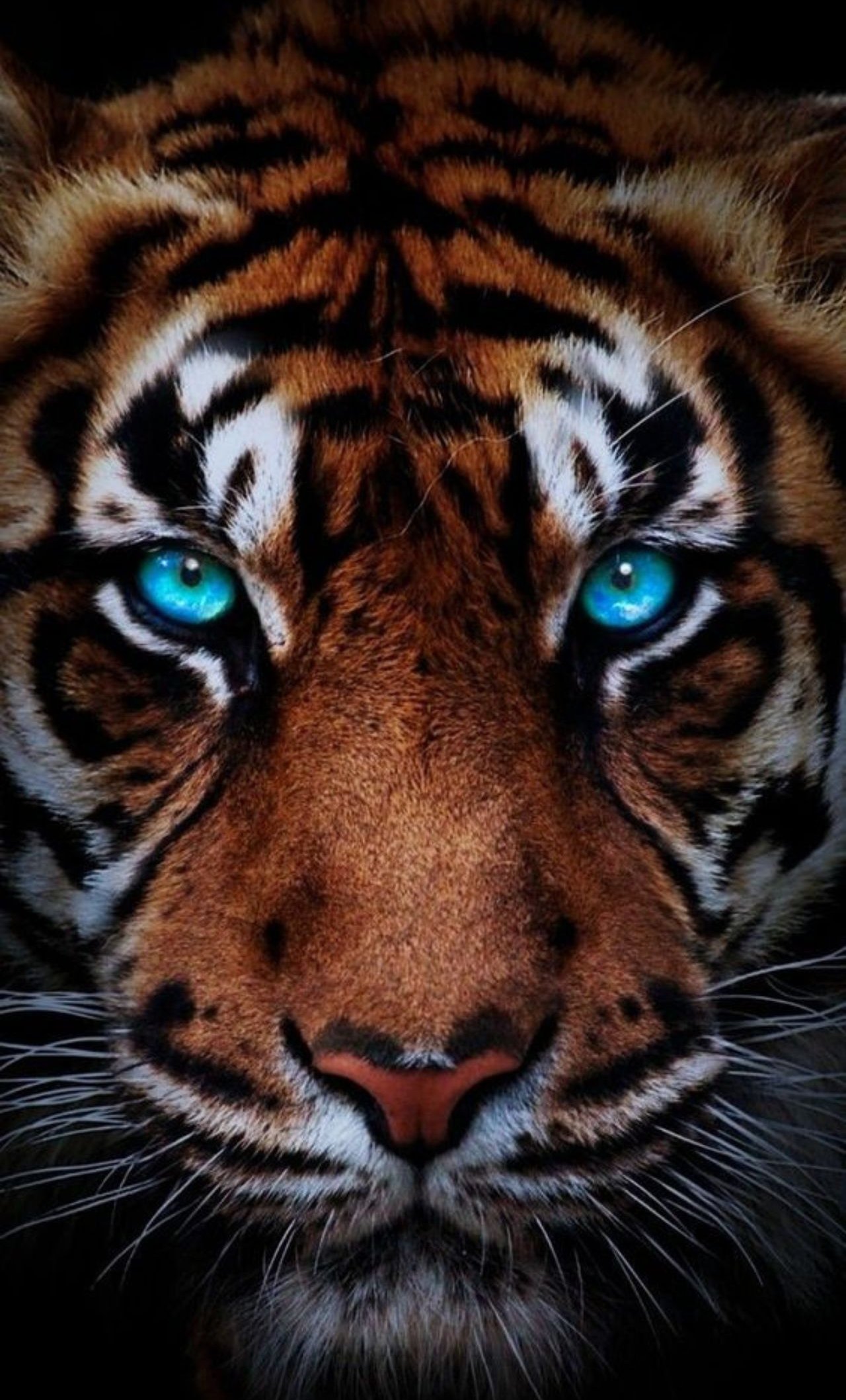 store avatar