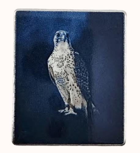 ستيكر معدني صقر