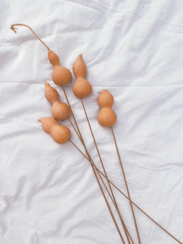 زهرة اليقطين مجموعة 5 اغصان