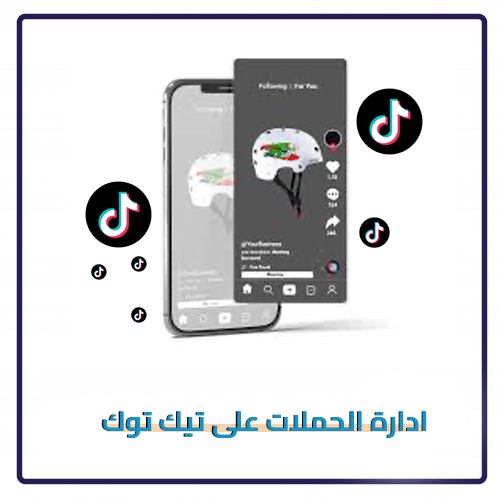 ادارة الحملات على تيك توك لمدة شهر