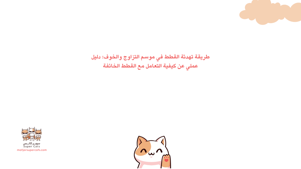 طريقة تهدئة القطط