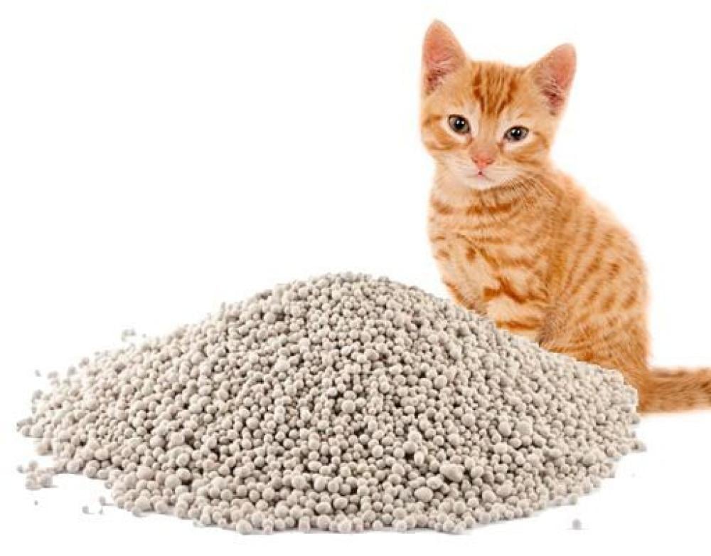 افضل رمل للقطط بدون غبار