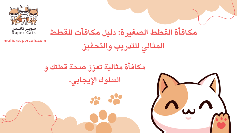 مكافأة القطط الصغيرة