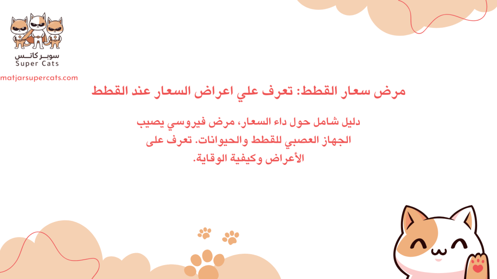 مرض-سعار-القطط