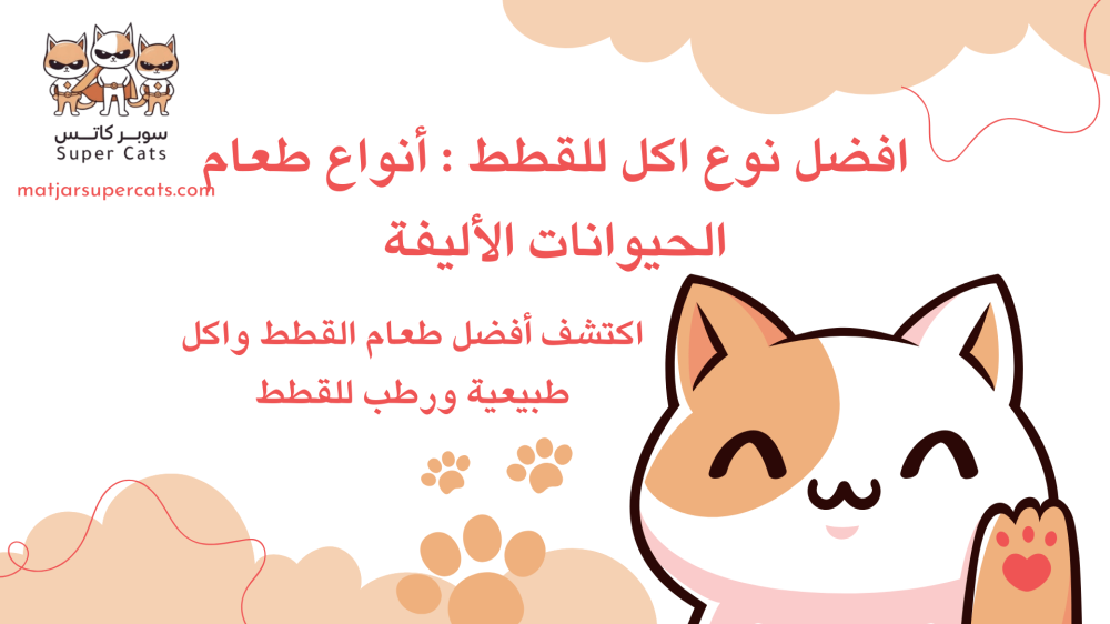 افضل نوع اكل للقطط