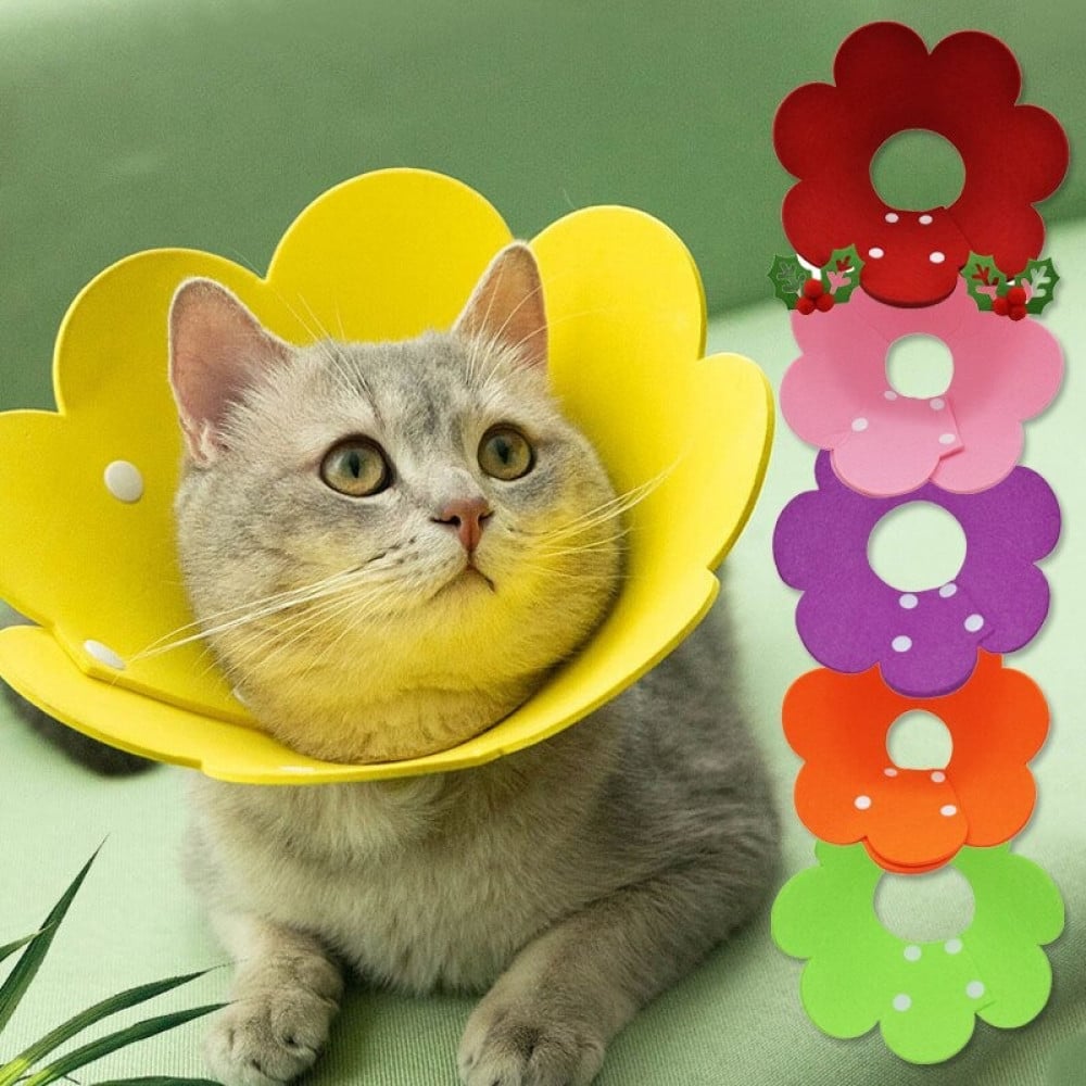 Elizabeth felt pet anti lick collar