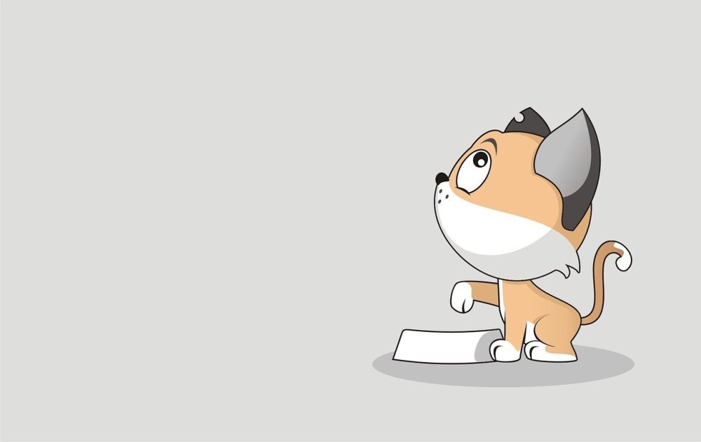 اختيار أفضل طعام قطط